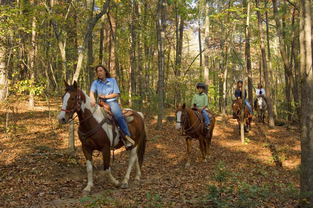 Brasstown Valley Resort & Spa Young Harris Екстериор снимка