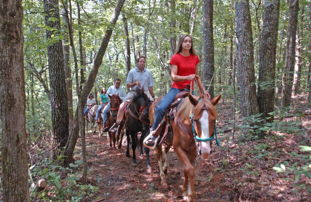 Brasstown Valley Resort & Spa Young Harris Екстериор снимка