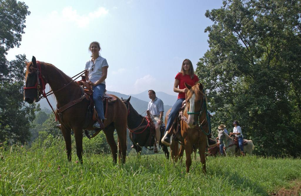 Brasstown Valley Resort & Spa Young Harris Екстериор снимка
