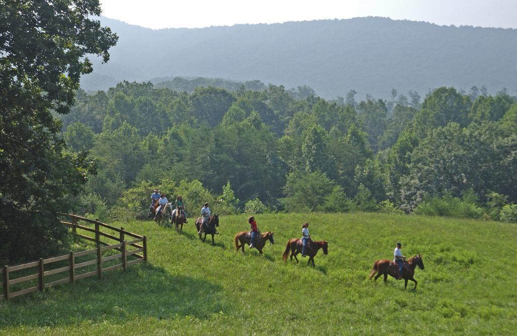 Brasstown Valley Resort & Spa Young Harris Екстериор снимка